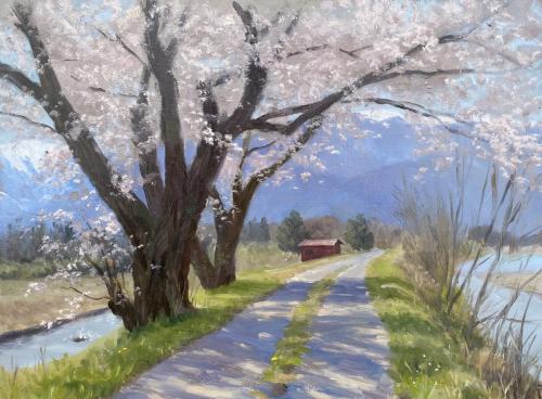 4F-早春賦の桜道